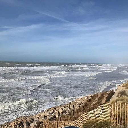 Fetuque Bleue A * Merlimont