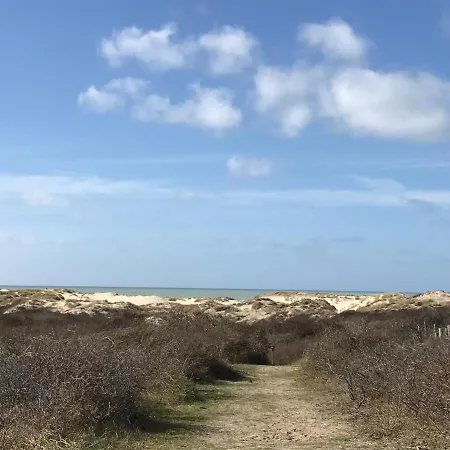 Fetuque Bleue A Сasa de vacaciones