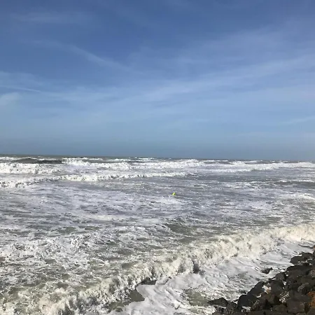 Fetuque Bleue A * Merlimont