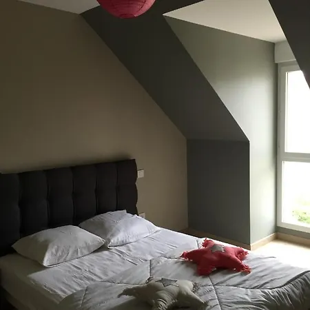 Fetuque Bleue A Merlimont