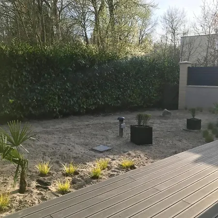 Fetuque Bleue A Merlimont