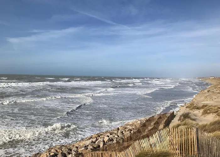 Fetuque Bleue A * Merlimont