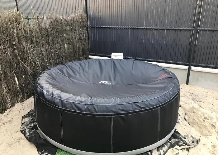 Fetuque Bleue A Merlimont