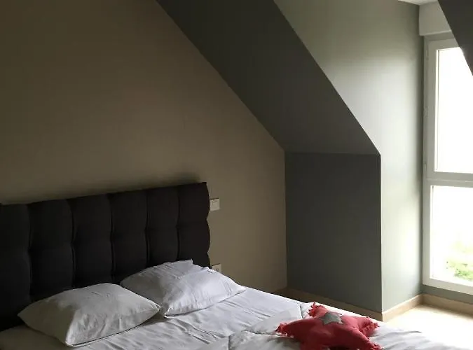 Fetuque Bleue A Merlimont