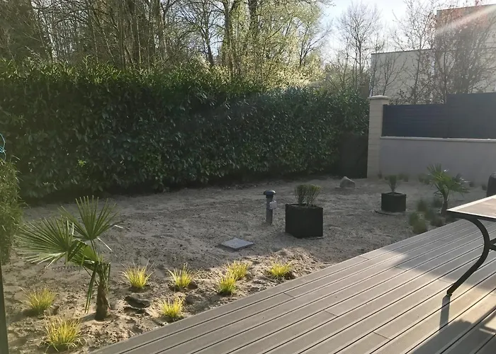 Fetuque Bleue A Merlimont