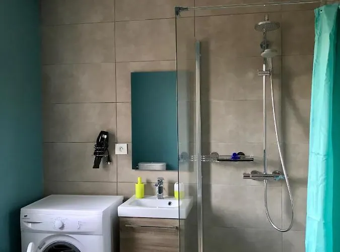 Fetuque Bleue A Merlimont